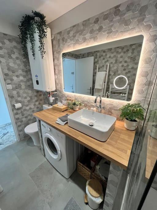 Studio Cosy Avec Terrasse Sur La Plage La Seyne-sur-Mer Εξωτερικό φωτογραφία