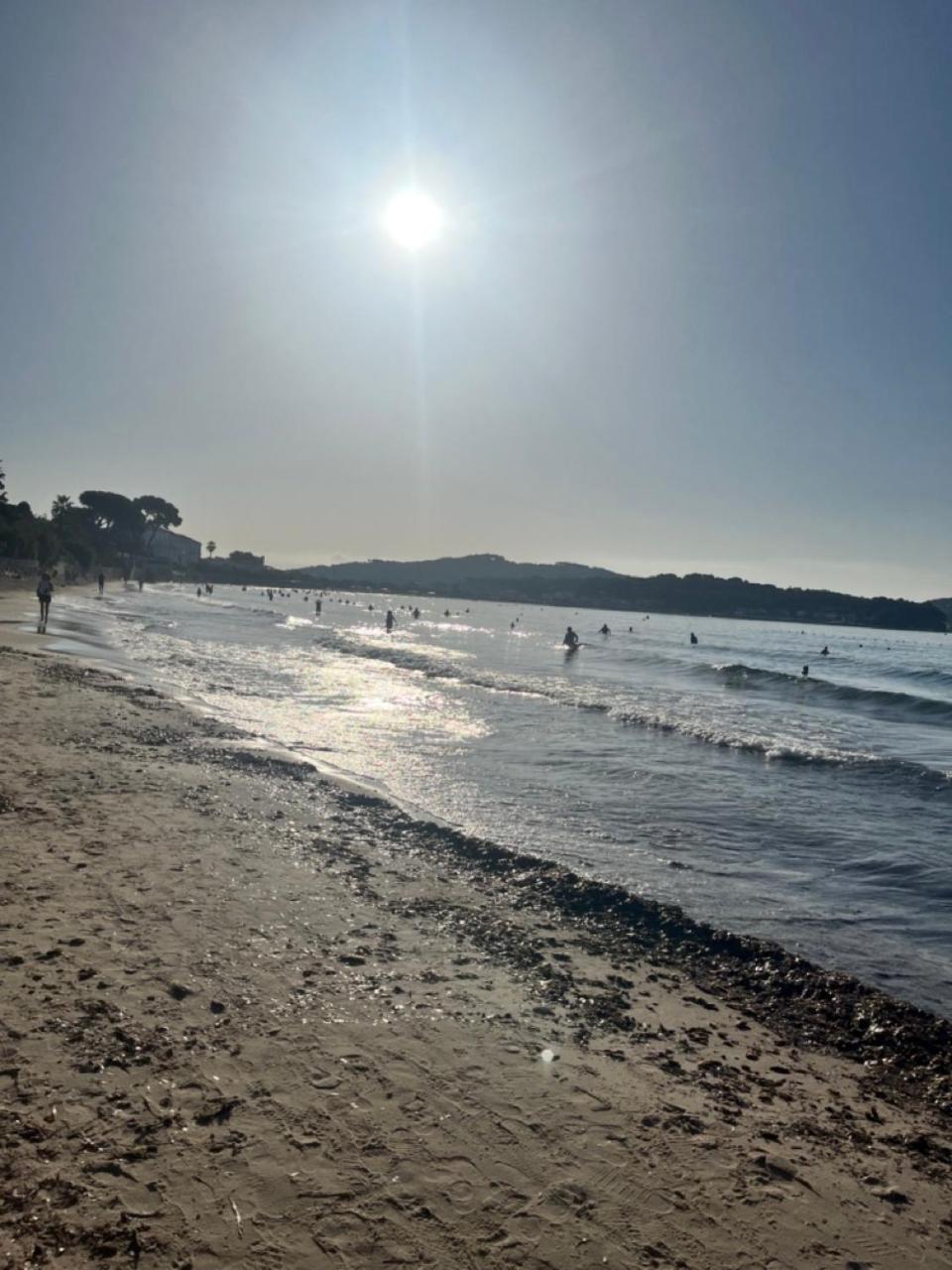 Studio Cosy Avec Terrasse Sur La Plage La Seyne-sur-Mer Εξωτερικό φωτογραφία